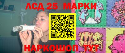 крисы Братск