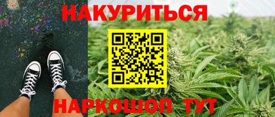 индика Боровичи