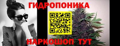 крисы Братск