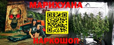 индика Боровичи