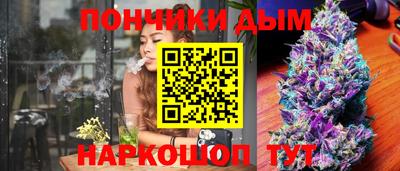 крисы Братск