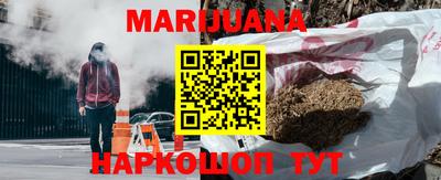 индика Боровичи