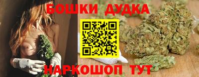 крисы Братск
