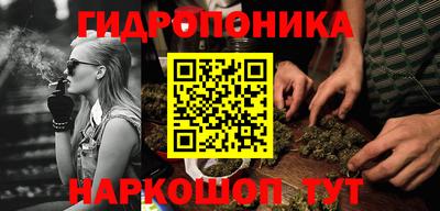 индика Боровичи