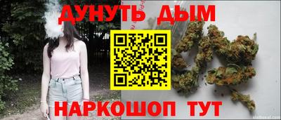 индика Боровичи