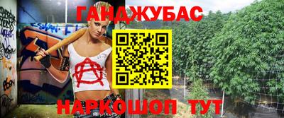 индика Боровичи