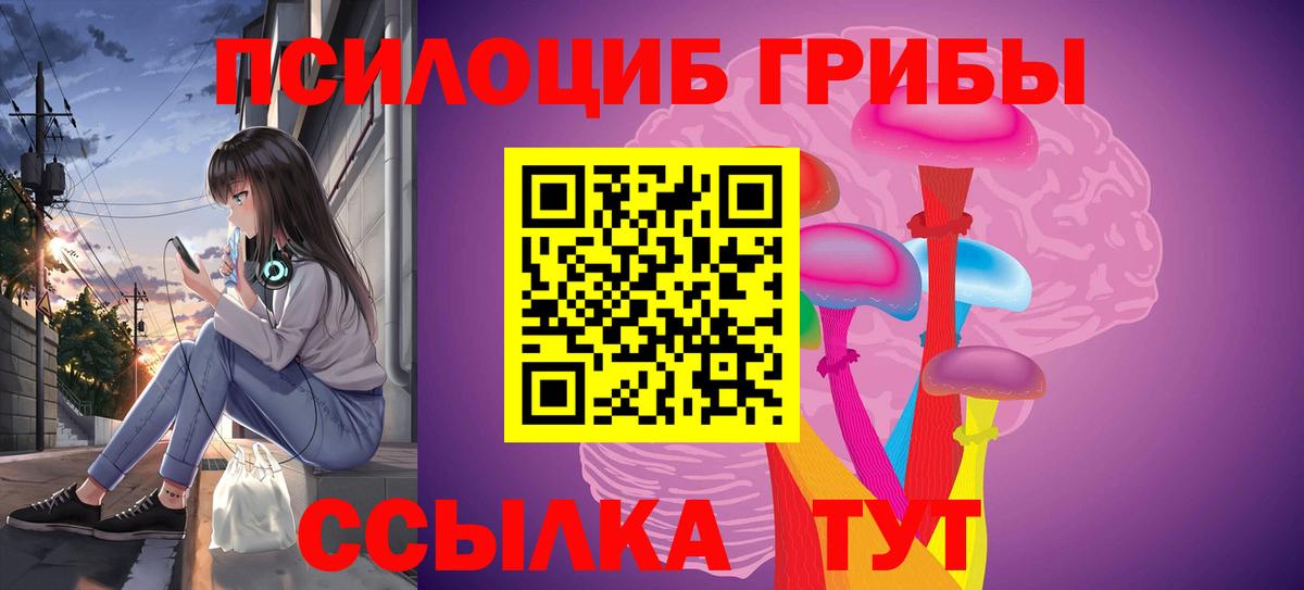 Псилоцибиновые грибы прущие грибы  Вход с VPN  Ивантеевка 